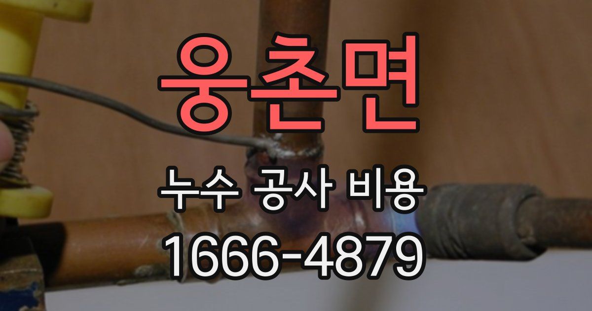 웅촌면 누수 공사 비용