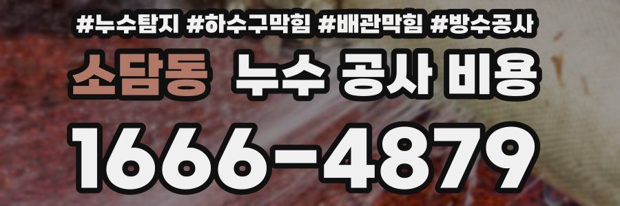 소담동 누수 공사 비용
