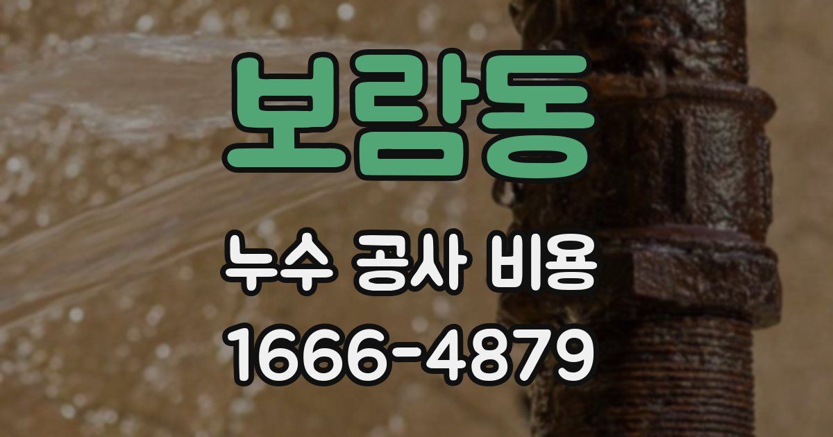 보람동 누수 공사 비용