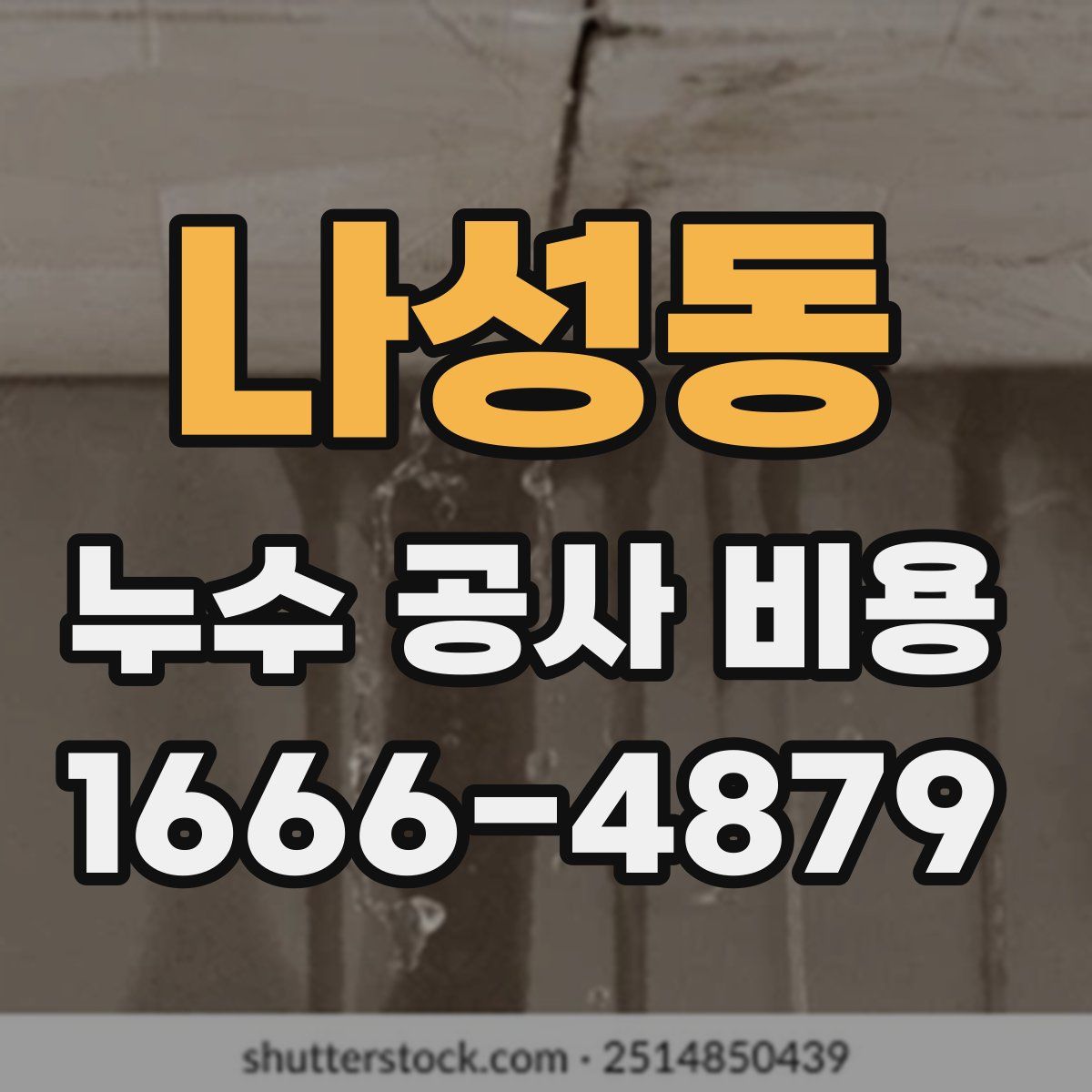 나성동 누수 공사 비용