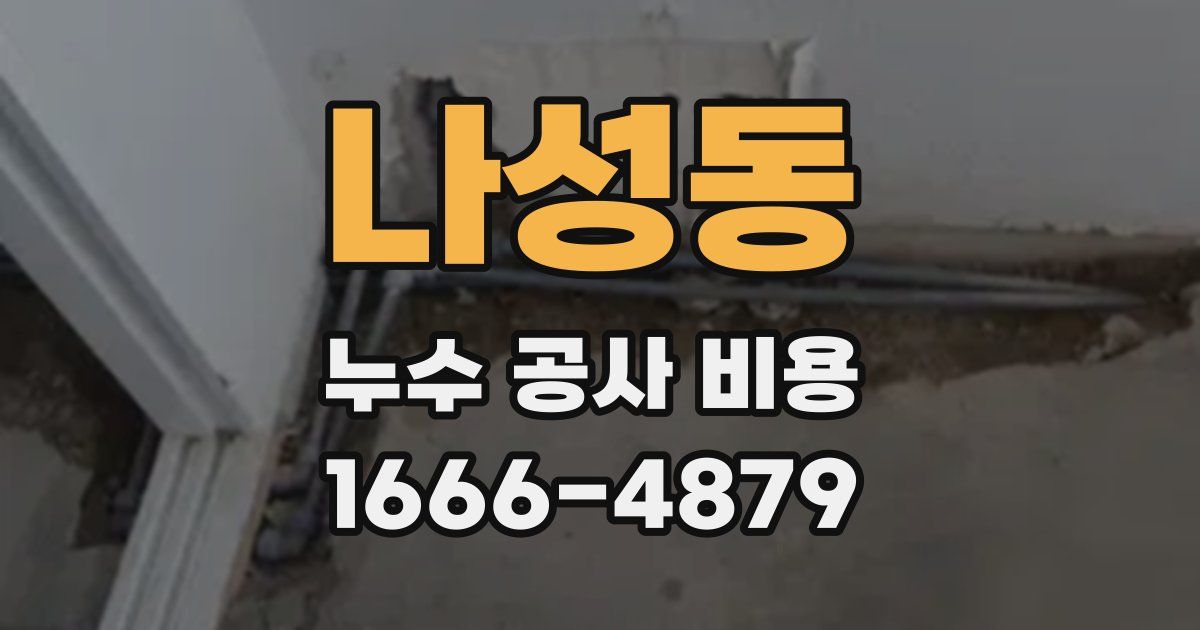 나성동 누수 공사 비용