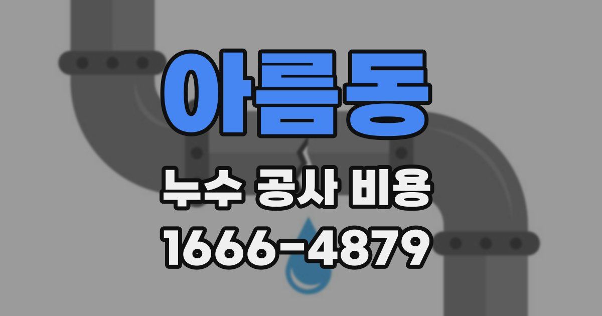 아름동 누수 공사 비용