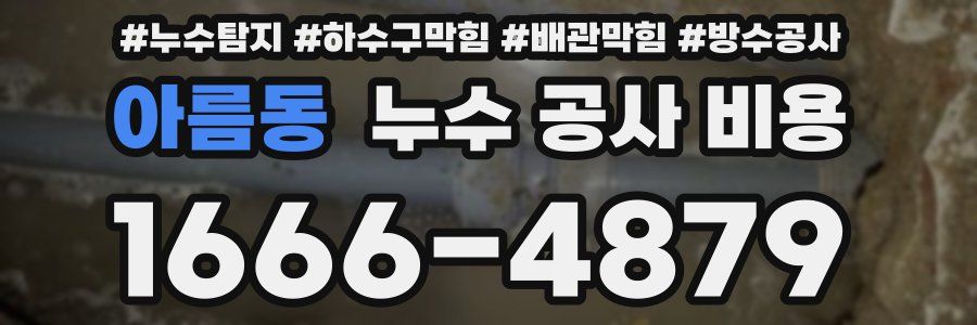 아름동 누수 공사 비용