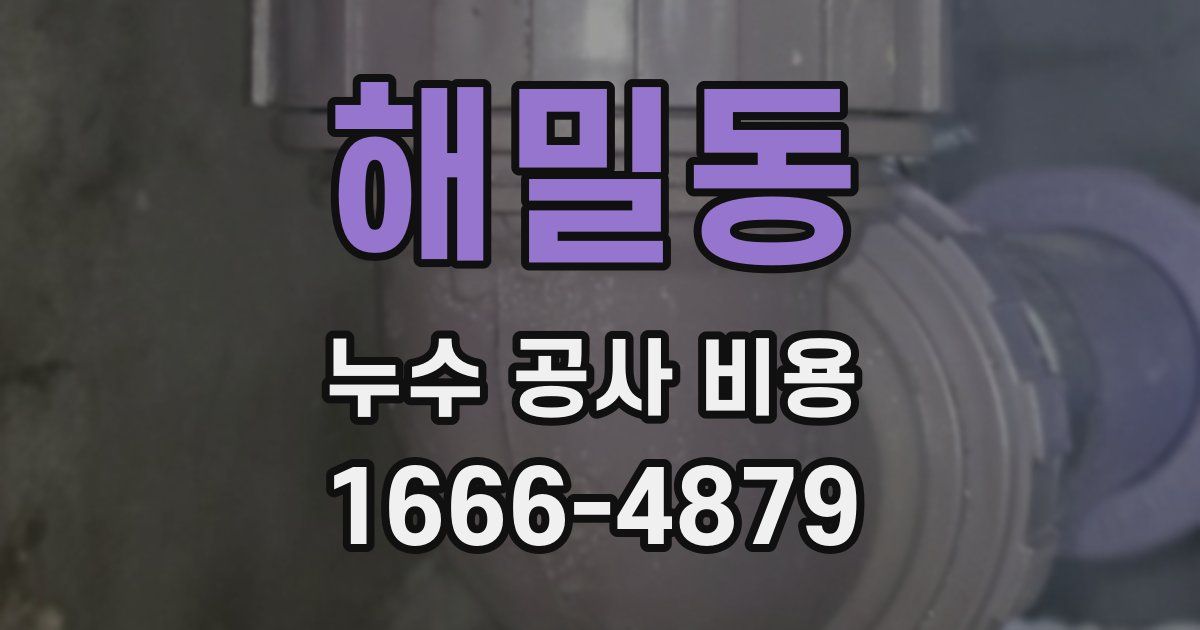 해밀동 누수 공사 비용