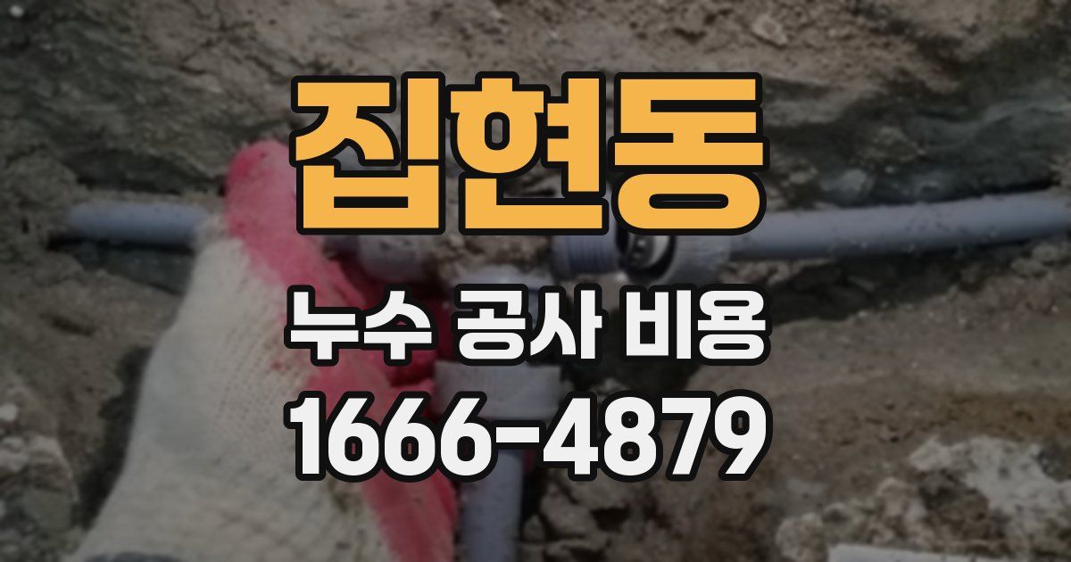 집현동 누수 공사 비용