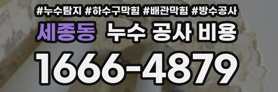 세종동 누수 공사 비용