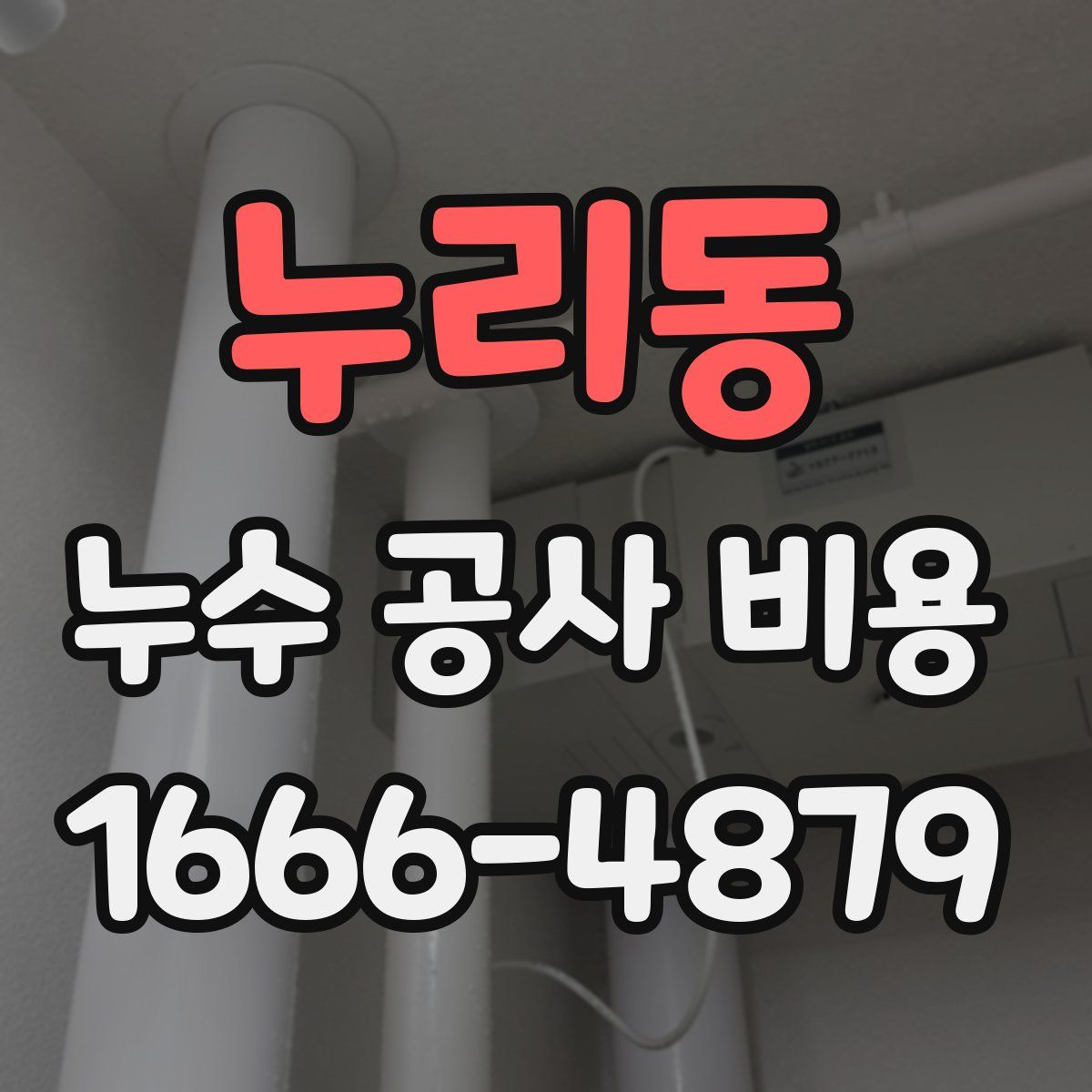 누리동 누수 공사 비용