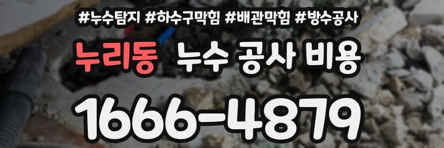 누리동 누수 공사 비용