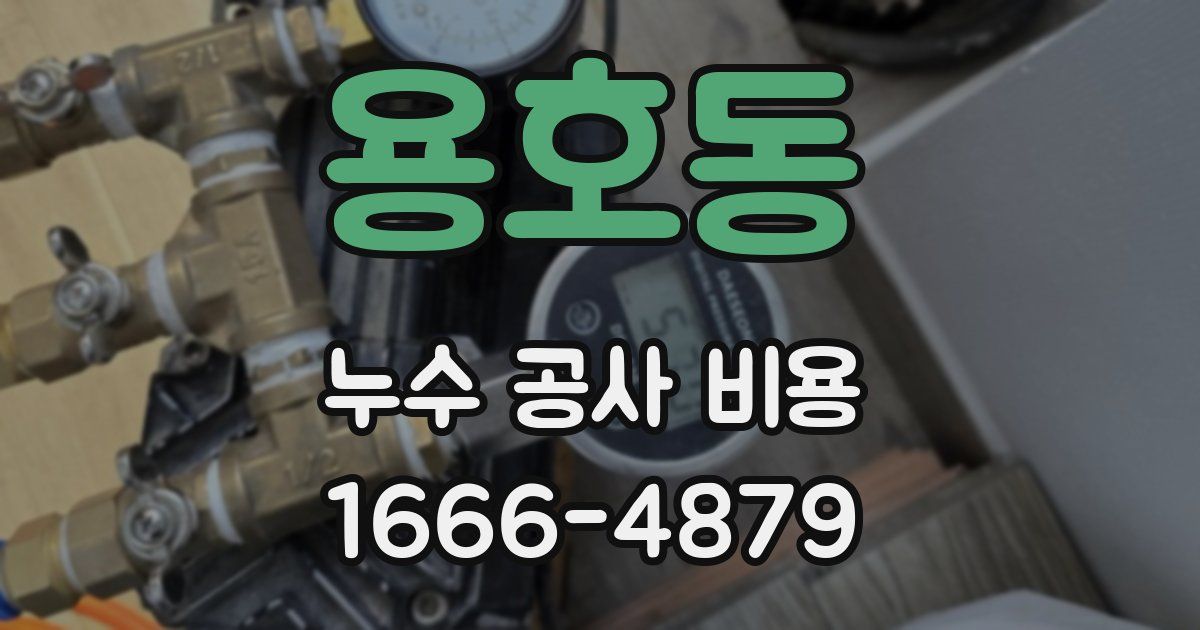 용호동 누수 공사 비용