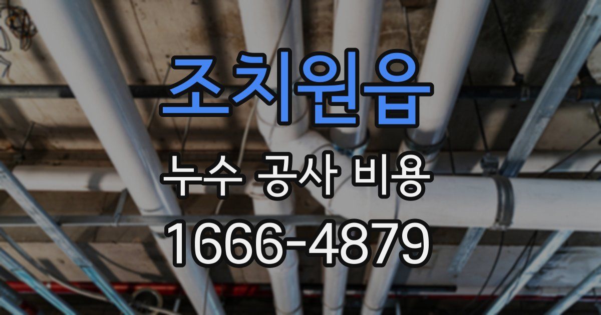 조치원읍 누수 공사 비용
