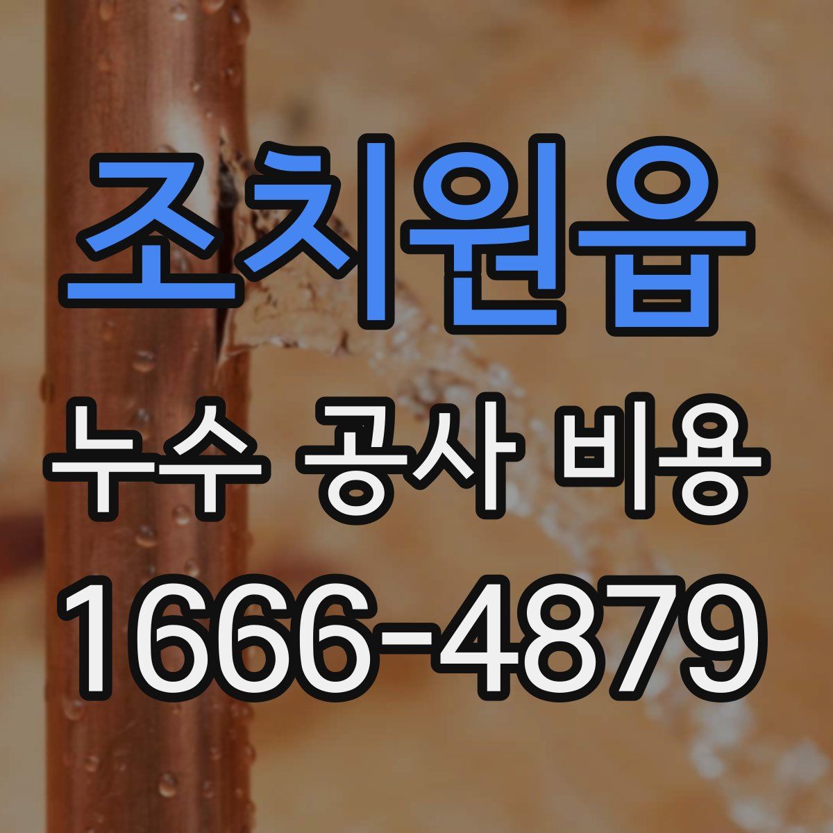 조치원읍 누수 공사 비용