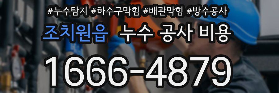 조치원읍 누수 공사 비용