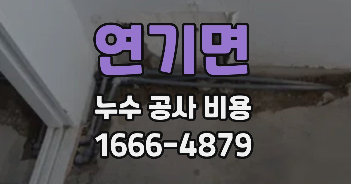 연기면 누수 공사 비용