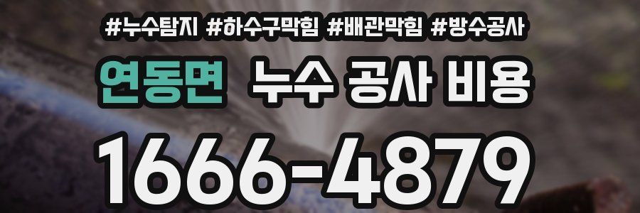 연동면 누수 공사 비용