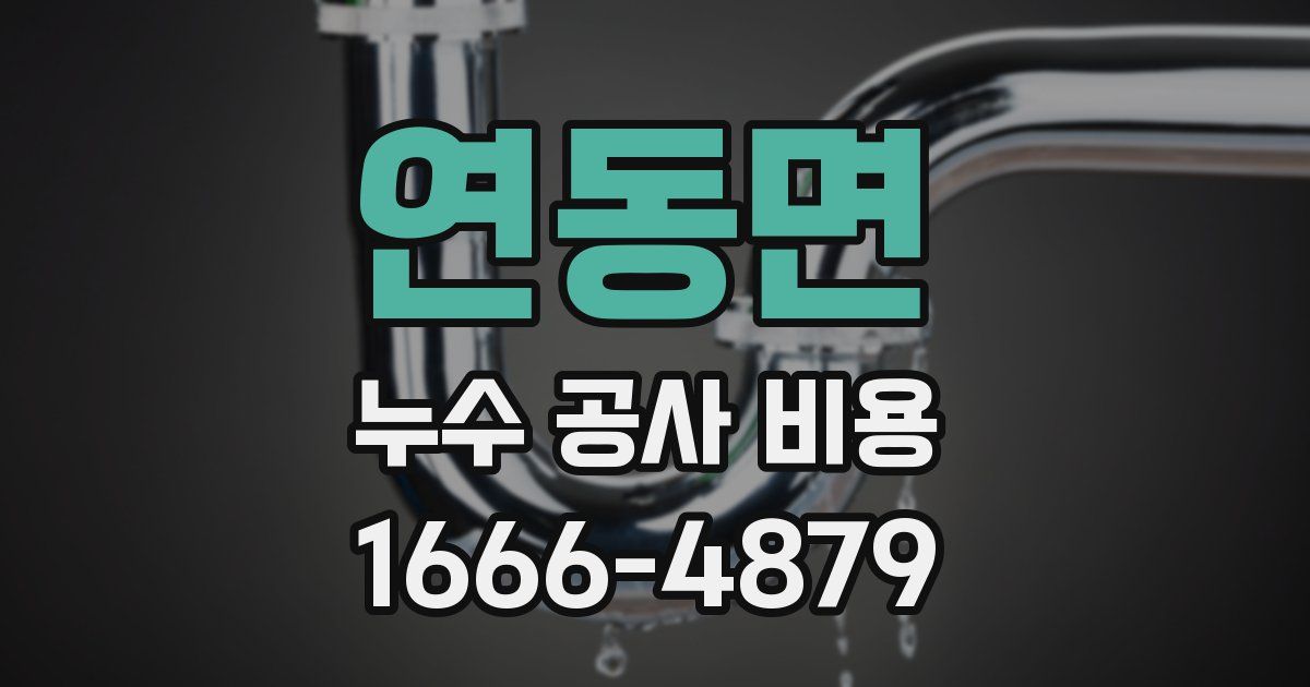 연동면 누수 공사 비용
