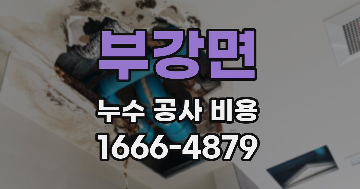 부강면 누수 공사 비용