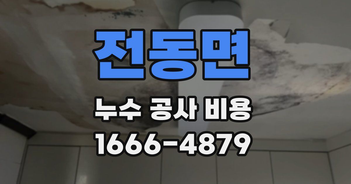 전동면 누수 공사 비용