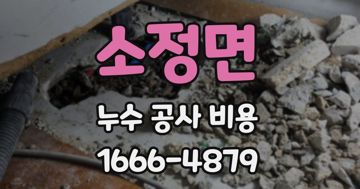 소정면 누수 공사 비용