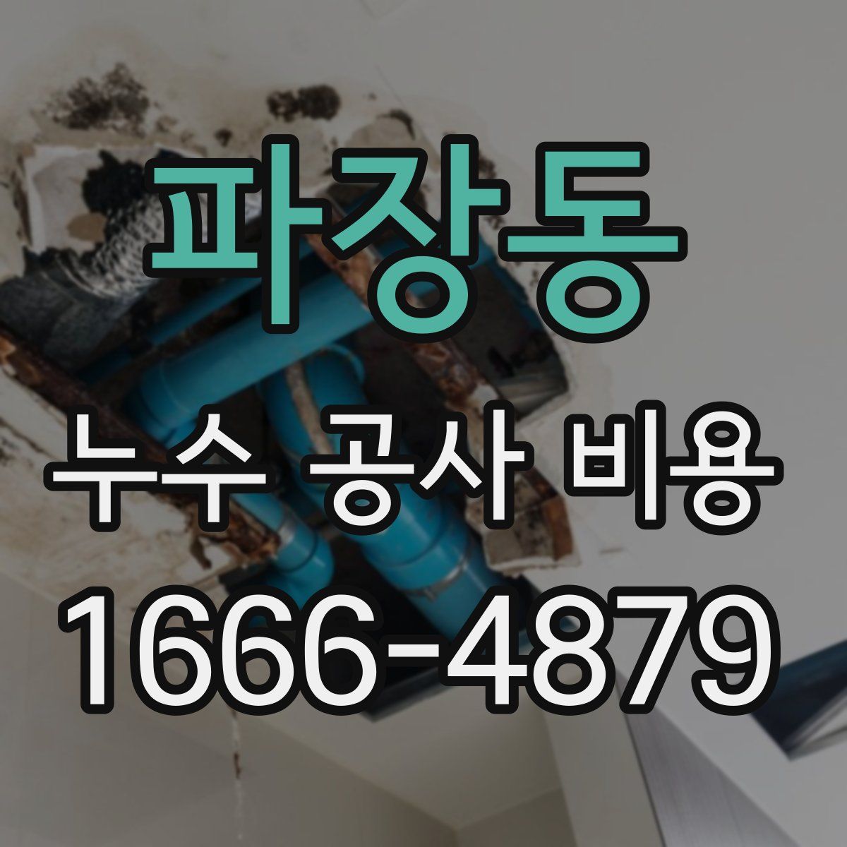 파장동 누수 공사 비용