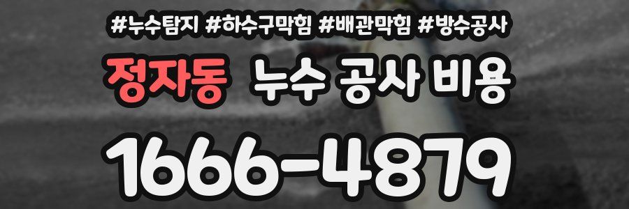 정자동 누수 공사 비용