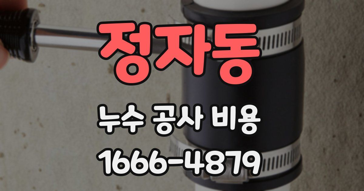 정자동 누수 공사 비용