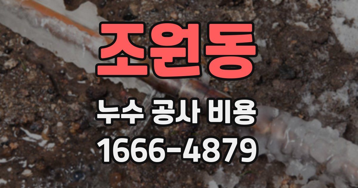 조원동 누수 공사 비용