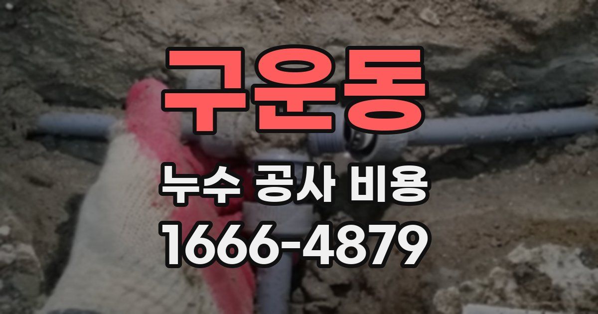 구운동 누수 공사 비용