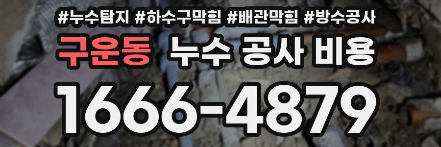 구운동 누수 공사 비용