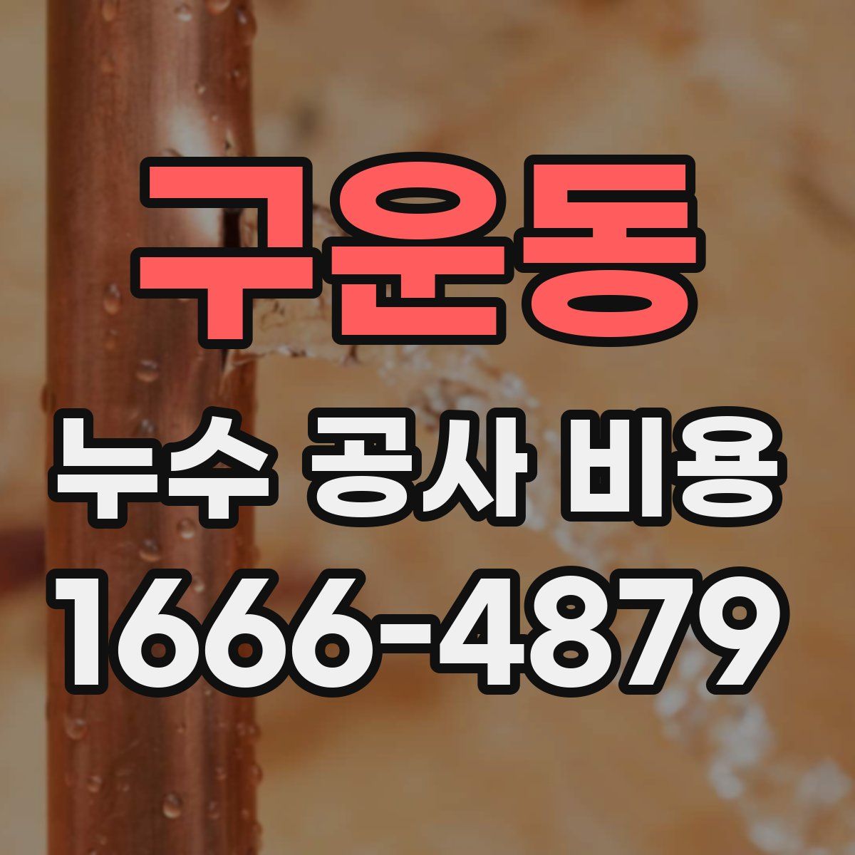 구운동 누수 공사 비용