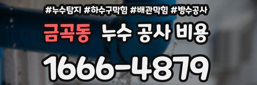 금곡동 누수 공사 비용