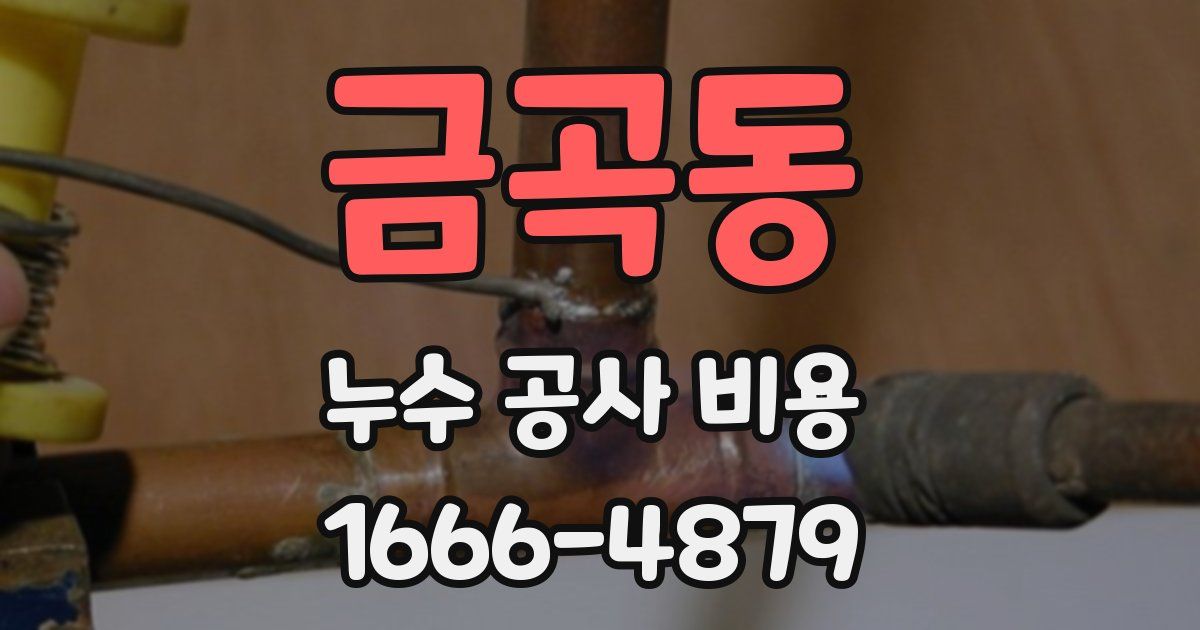 금곡동 누수 공사 비용