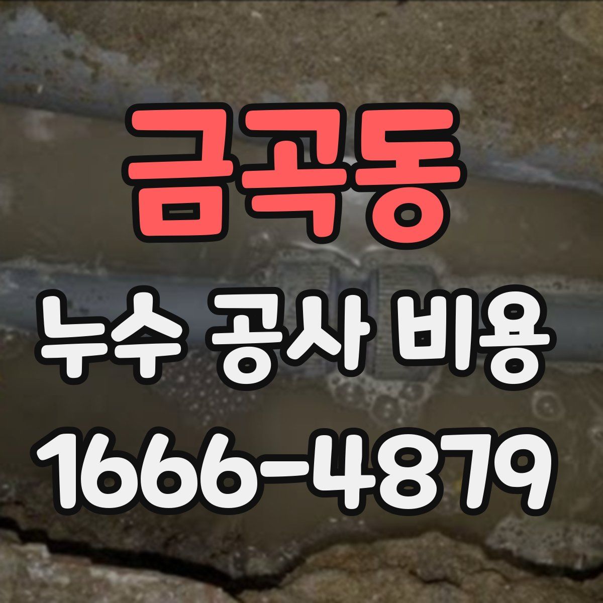 금곡동 누수 공사 비용