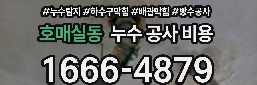 호매실동 누수 공사 비용