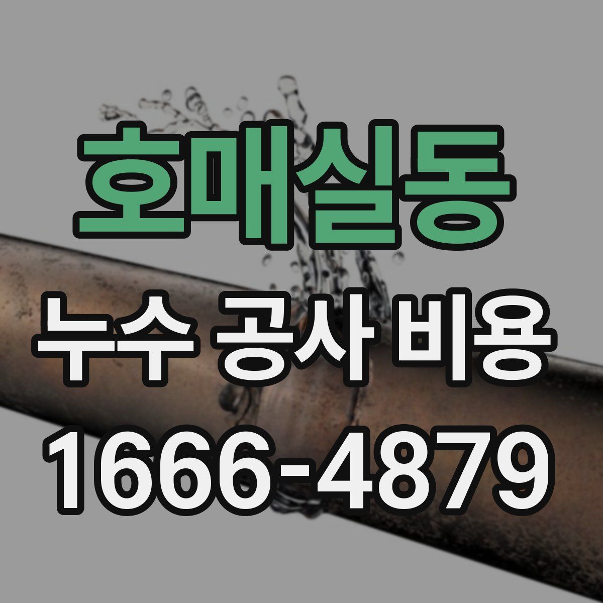 호매실동 누수 공사 비용