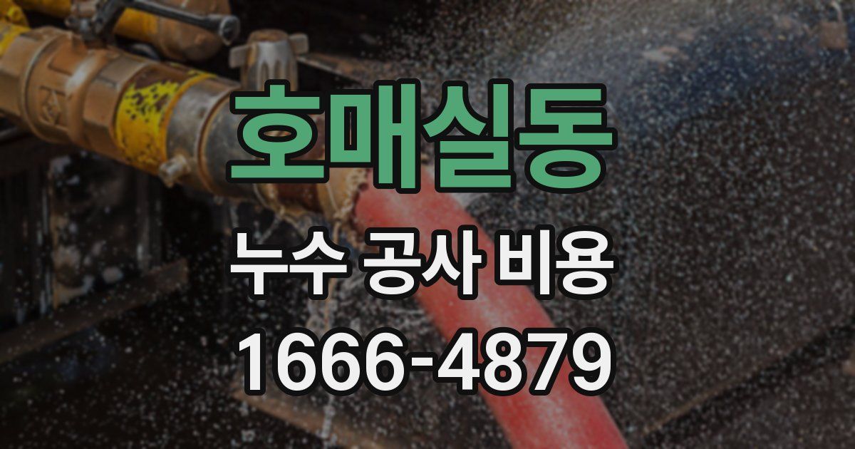 호매실동 누수 공사 비용