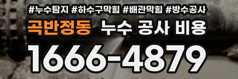 곡반정동 누수 공사 비용