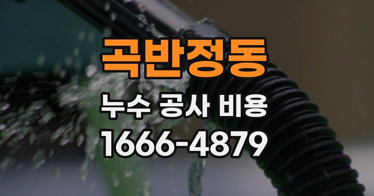 곡반정동 누수 공사 비용
