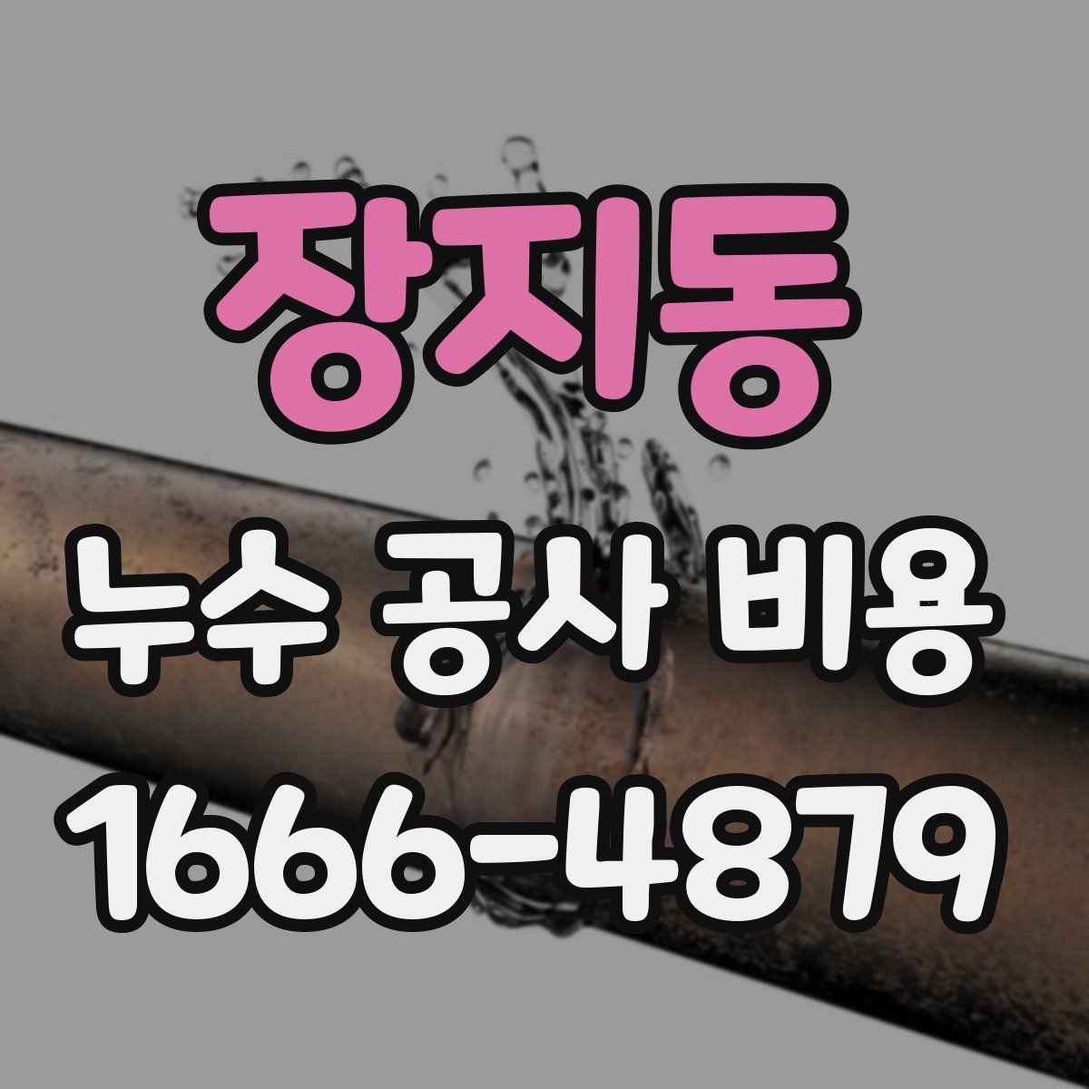 장지동 누수 공사 비용