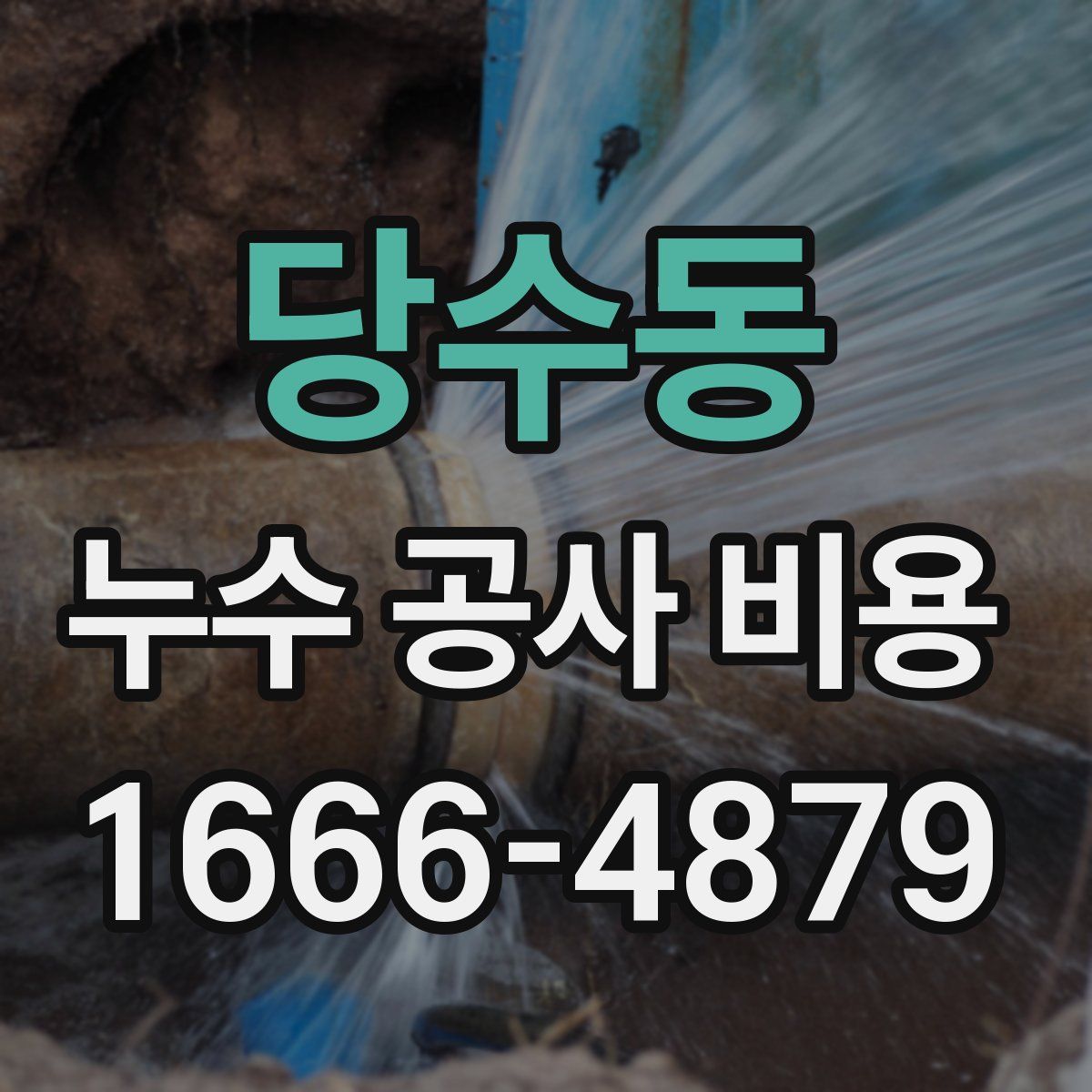 당수동 누수 공사 비용