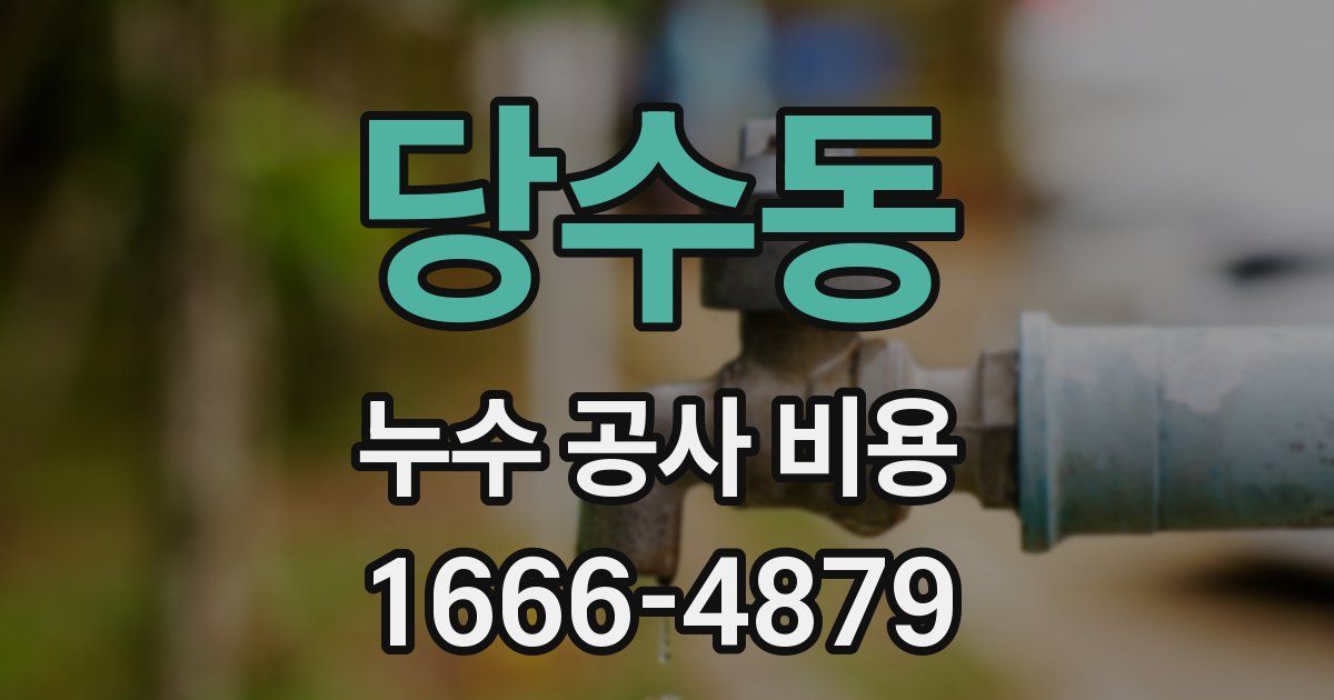 당수동 누수 공사 비용