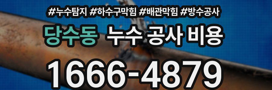 당수동 누수 공사 비용
