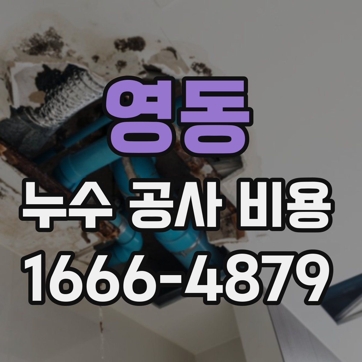 영동 누수 공사 비용