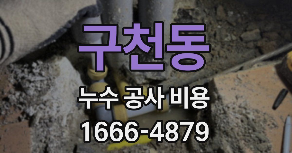 구천동 누수 공사 비용