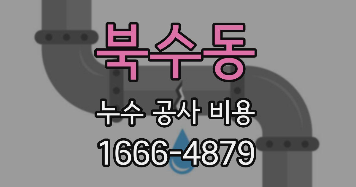 북수동 누수 공사 비용