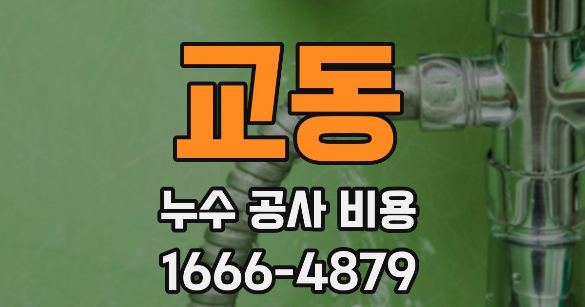 교동 누수 공사 비용