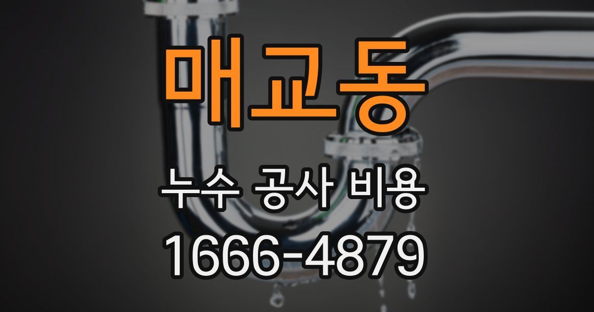 매교동 누수 공사 비용