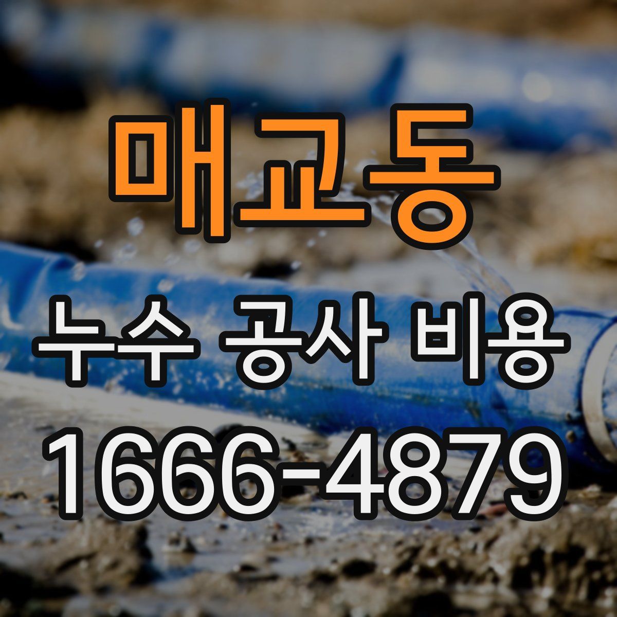 매교동 누수 공사 비용