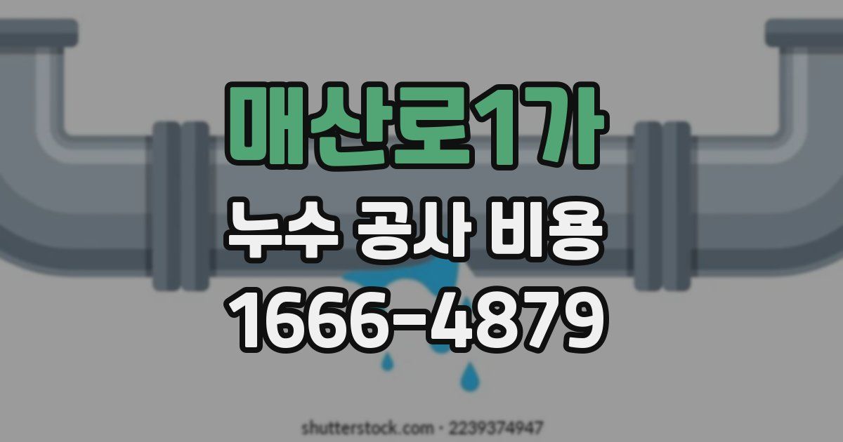 매산로1가 누수 공사 비용