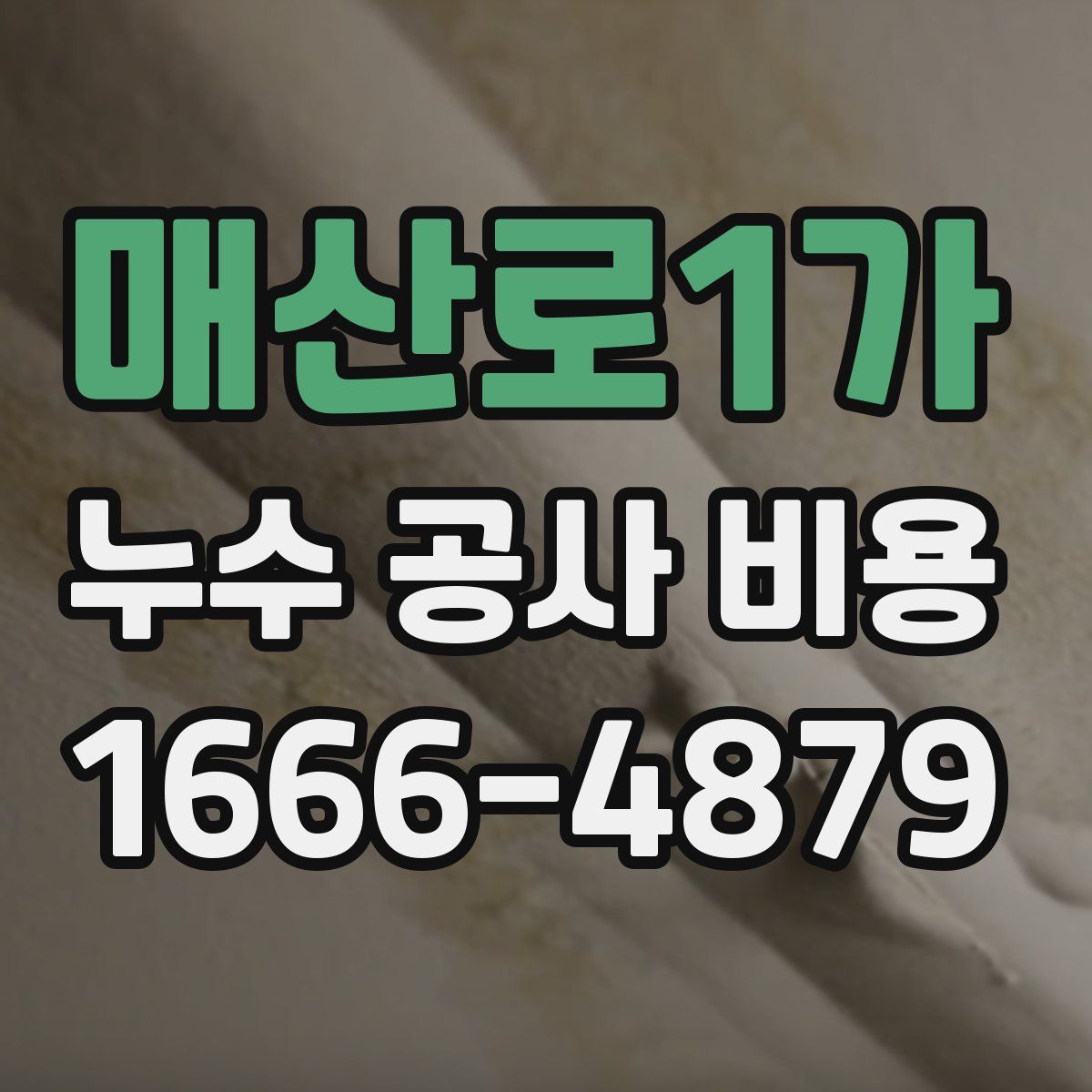 매산로1가 누수 공사 비용