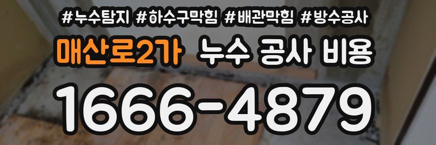 매산로2가 누수 공사 비용